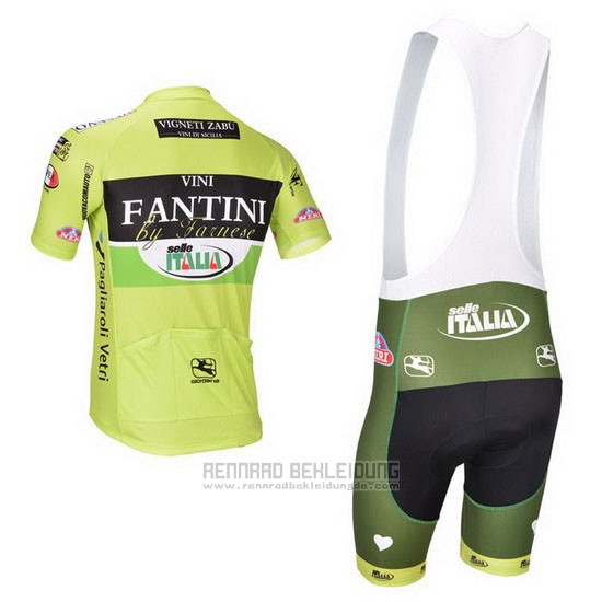 2013 Fahrradbekleidung Vini Fantini Grun und Shwarz Trikot Kurzarm und Tragerhose